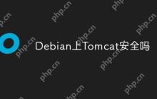 Debian上Tomcat安全吗