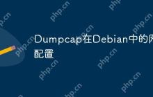 Dumpcap在Debian中的网络配置
