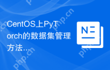 CentOS上PyTorch的数据集管理方法