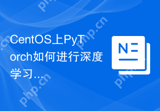CentOS上PyTorch如何进行深度学习