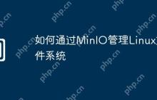 如何通过MinIO管理Linux文件系统