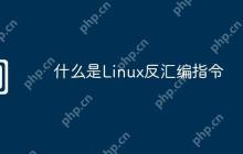 什么是Linux反汇编指令