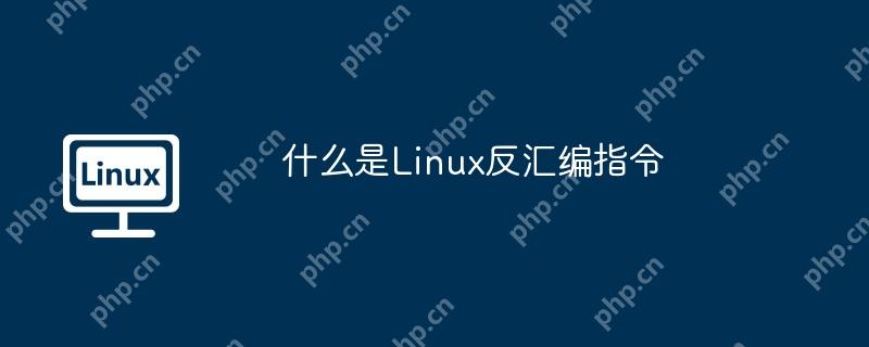 什么是linux反汇编指令
