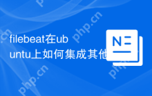 filebeat在ubuntu上如何集成其他服务