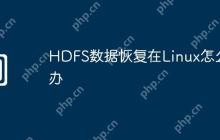 HDFS数据恢复在Linux怎么办