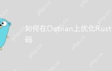 如何在Debian上优化Rust代码