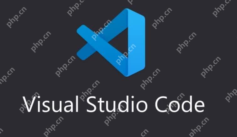 VSCode 对新兴编程语言的支持趋势与相关问题分析-小浪学习网