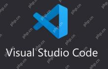 VSCode 对新兴编程语言的支持趋势与相关问题分析