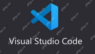 VSCode 对新兴编程语言的支持趋势与相关问题分析