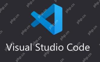 Analysis of VSCode's support trends and related issues for emerging programming languages