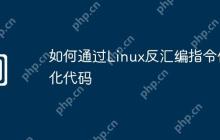 如何通过Linux反汇编指令优化代码