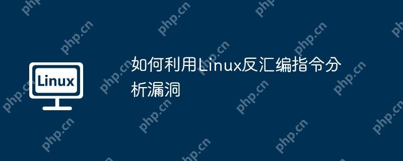 如何利用Linux反匯編指令分析漏洞
