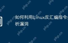 如何利用Linux反汇编指令分析漏洞