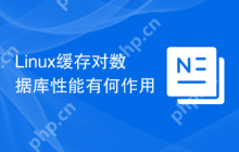 Linux缓存对数据库性能有何作用