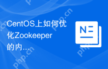 CentOS上如何优化Zookeeper的内存使用