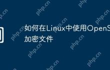 如何在Linux中使用OpenSSL加密文件