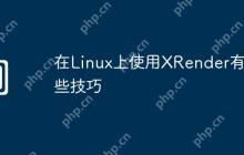 在Linux上使用XRender有哪些技巧