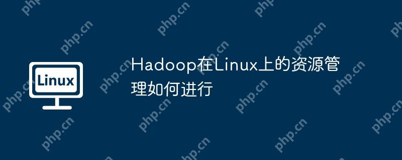 Hadoop在Linux上的資源管理如何進(jìn)行