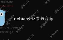 debian分区能兼容吗