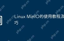 Linux MinIO的使用教程及技巧