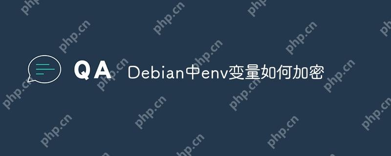 Debian中env变量如何加密