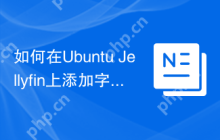 如何在Ubuntu Jellyfin上添加字幕