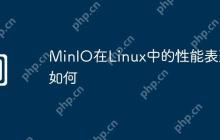 MinIO在Linux中的性能表现如何