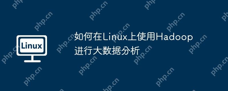 如何在Linux上使用Hadoop進(jìn)行大數(shù)據(jù)分析
