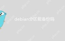 debian分区能备份吗