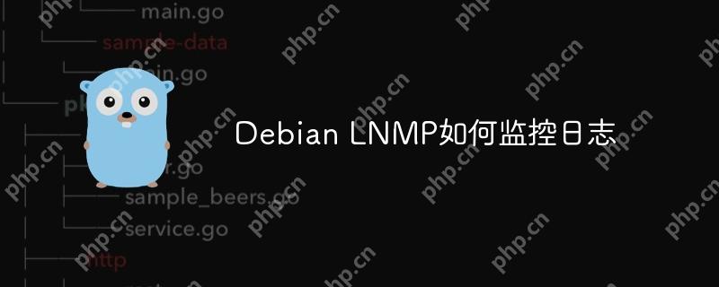 debian lnmp如何监控日志