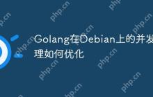 Golang在Debian上的并发处理如何优化