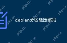 debian分区能压缩吗
