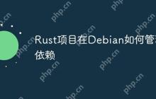 Rust项目在Debian如何管理依赖