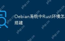 Debian系统中Rust环境怎样搭建