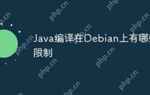 Java编译在Debian上有哪些限制