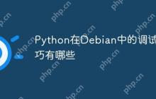 Python在Debian中的调试技巧有哪些