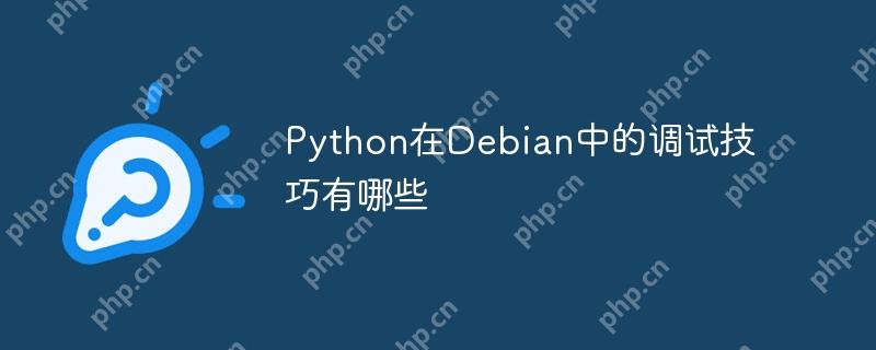Python在Debian中的调试技巧有哪些-小浪学习网
