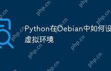 Python在Debian中如何设置虚拟环境