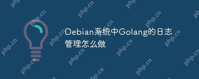Debian系统中Golang的日志管理怎么做