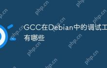 GCC在Debian中的调试工具有哪些