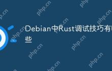 Debian中Rust调试技巧有哪些