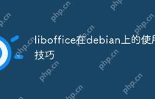 liboffice在debian上的使用技巧