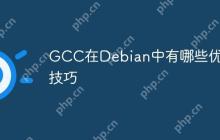 GCC在Debian中有哪些优化技巧