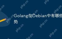 Golang在Debian中有哪些优势