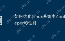 如何优化Linux系统中Zookeeper的性能