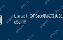 Linux HDFS如何实现实时数据处理
