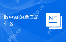 iis中ssl的端口是什么