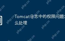 Tomcat日志中的权限问题怎么处理