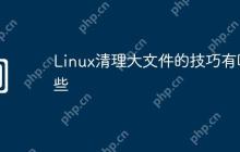 Linux清理大文件的技巧有哪些