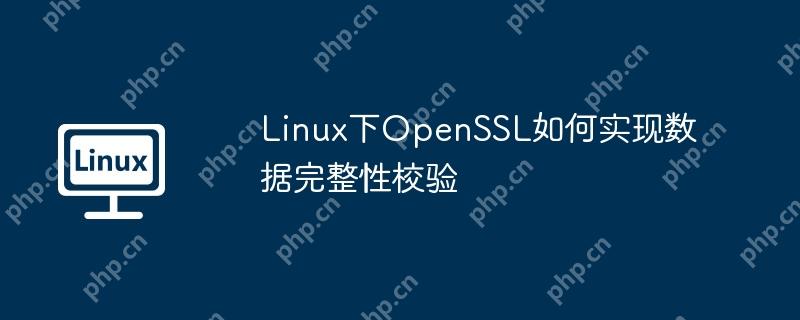 linux下openssl如何实现数据完整性校验